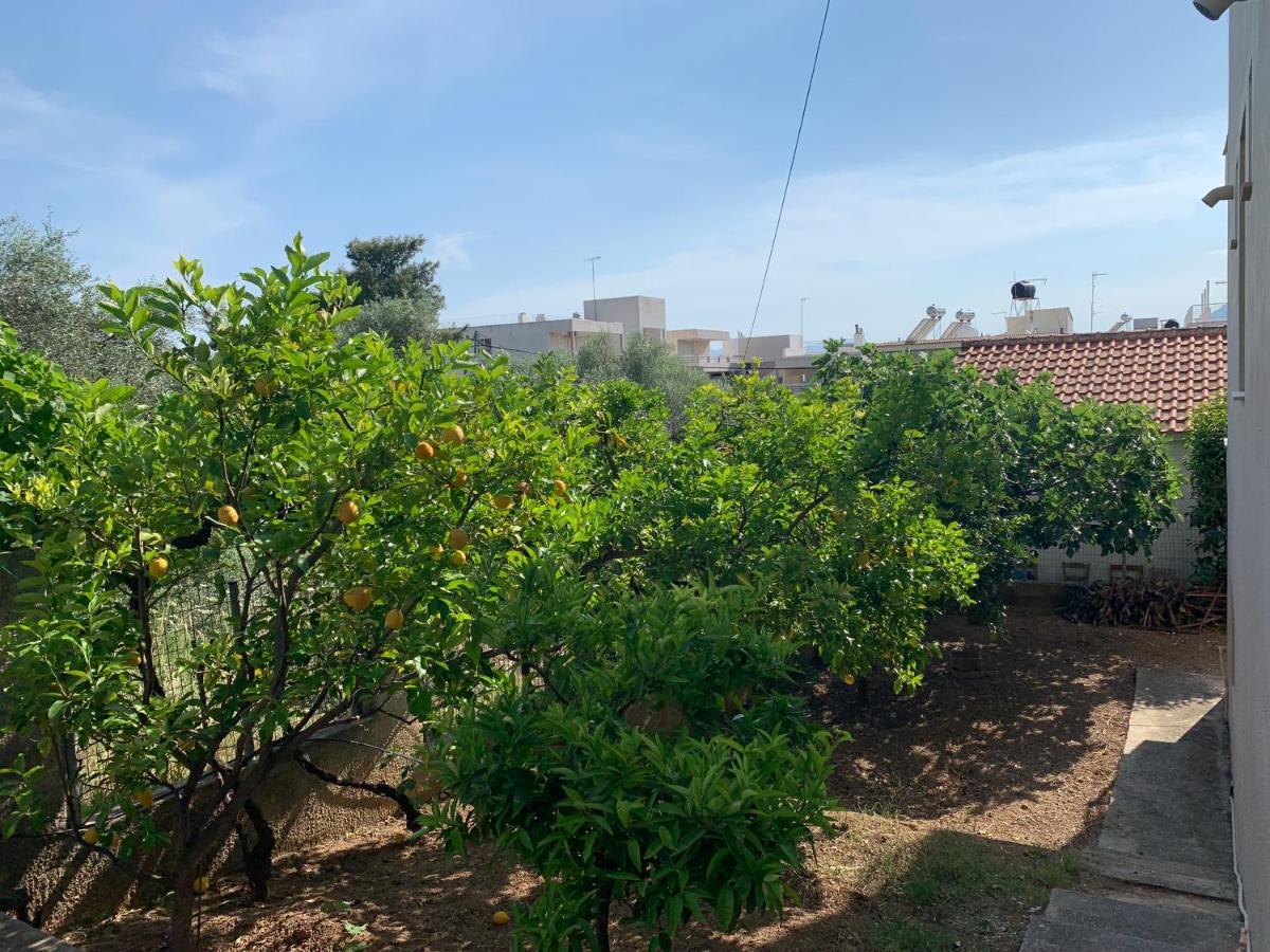 Αβαντιάς Abantias Aparthotel Loutra Aidhipsou Exteriör bild